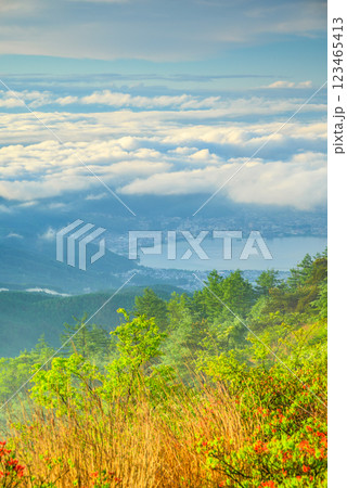 諏訪湖と雲海【高ボッチ高原より撮影】 123465413