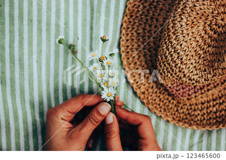 A bouquet of white summertime daisies in female hands view from above. A woman lying on striped plaid with a bunch of wildflowers. Straw female sunhat A bouquet of white summertime daisies in female hands view from above. A woman lying on striped plaid with a bunch of wildflowers. Straw female sunhat 123465600