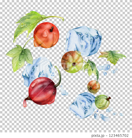 Currant gooseberry flying in water splash green leaves, ice cubes, dew drops, ripe garden berry juneberry casseille jostaberry. Isolated illustration hand drawn in watercolor. Craft drinks, grocery 123465702