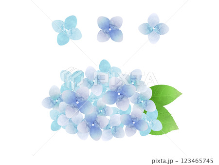 水彩のあじさいイラスト 水彩のあじさいイラスト 123465745