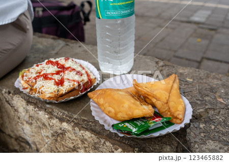公園で楽しむサモサとサンドイッチの軽食 123465882
