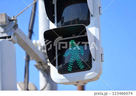 歩行者用信号機 123466074