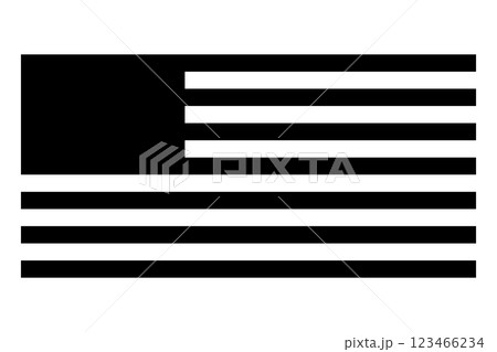 Flag USA icon. Flag USA icon. 123466234