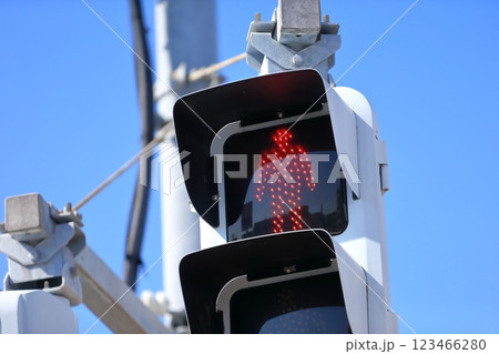 歩行者用信号機 123466280