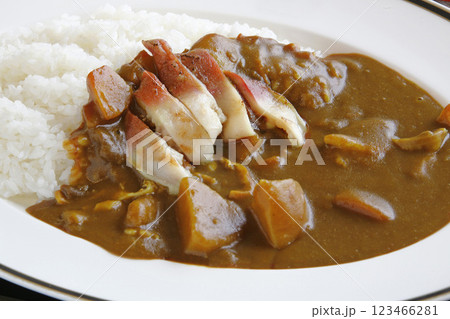 苫小牧名物グルメ　ホッキカレー　ほっきカレー 123466281