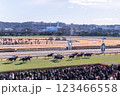 東京競馬場ゴール直前の戦い 123466558