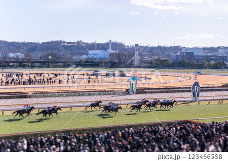 東京競馬場ゴール直前の戦い 123466558