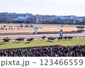 東京競馬場を走る競走馬 123466559