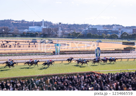 東京競馬場を走る競走馬 123466559