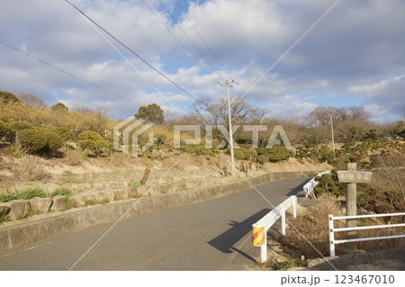種松山公園西園地　ロウバイの季節　冬 123467010