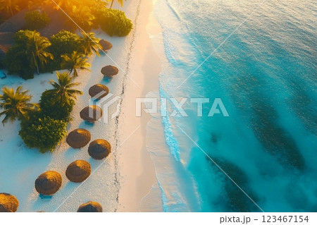 Aerial view of umbrellas, palms on the sandy beach of Indian Ocean at sunset. Summer holiday in Zanzibar, Africa. Tropical landscape with palm trees, parasols, white sand, blue water, waves. Top view 123467154