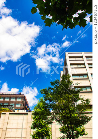 【京都風景】烏丸通りの空とビル群 【京都風景】烏丸通りの空とビル群 123467315