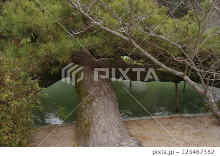 吉備津駅から吉備津神社 普賢院 宇賀神社 吉備津駅から吉備津神社 普賢院 宇賀神社 123467382