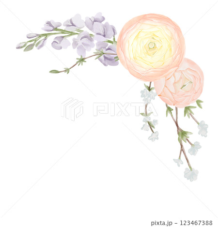 Corner Bouquet of Ranunculus Flowers with Freesia and Snow Willow Branches. Watercolor Hand drawn Spring floral illustration in pastel colors isolated on white background. Botanical art for Corner Bouquet of Ranunculus Flowers with Freesia and Snow Willow Branches. Watercolor Hand drawn Spring floral illustration in pastel colors isolated on white background. Botanical art for 123467388