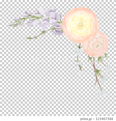 Corner Bouquet of Ranunculus Flowers with Freesia and Snow Willow Branches. Watercolor Hand drawn Spring floral illustration in pastel colors isolated on white background. Botanical art for Corner Bouquet of Ranunculus Flowers with Freesia and Snow Willow Branches. Watercolor Hand drawn Spring floral illustration in pastel colors isolated on white background. Botanical art for 123467388