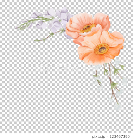 Corner Bouquet of Iceland Poppy Flowers with Freesia and Snow Willow Branches. Watercolor hand drawn floral illustration isolated on a white background. Botanical art for cards, posters, invitations 123467390