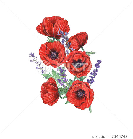 Bouquet of watercolor red poppies and lavender branches on a white background. Illustration of botanical plants. Provencal flowers. Suitable for postcards, wedding invitations, branding, prints. 123467483