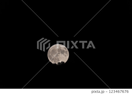 Moonlit Serenade: Full Moon Rising in Enchanted Forest 123467676