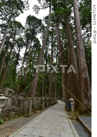高野山奥の院の参道 高野山奥の院の参道 123467724