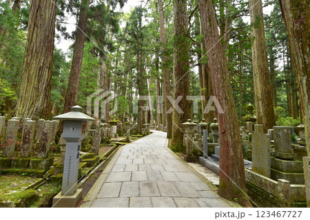 高野山奥の院の参道 123467727