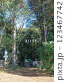 ALOHA GLAMPING RESORT 123467742