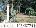 ALOHA GLAMPING RESORT 123467744