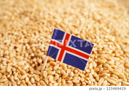 Iceland flag on grain wheat, trade export and economy concept. Iceland flag on grain wheat, trade export and economy concept. 123469429