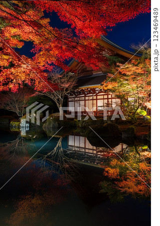 【AI生成画像】京都庭園夜景　ライトアップで広がる秋模様 123469489