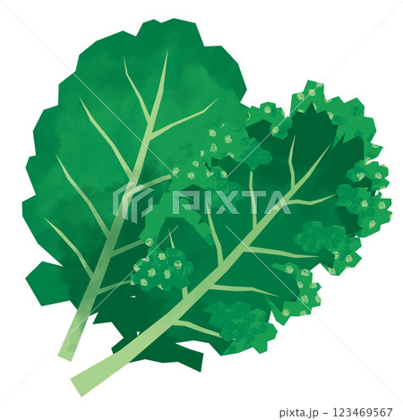 切り絵風のケール 123469567