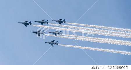 航空自衛隊ブルーインパルス訓練飛行 123469605