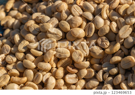 The process of making coffee beans dry by using sunlight. The process of making coffee beans dry by using sunlight. 123469653