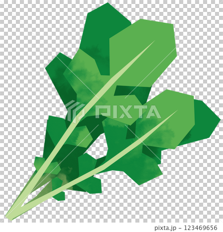 Paper-cut style arugula Paper-cut style arugula 123469656