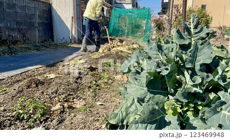 農業をする男性が晴天で畑の畝を作る様子 123469948