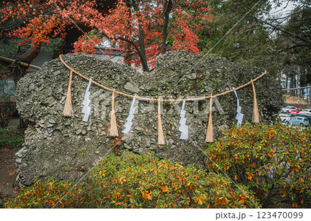 【諏訪大社下社秋宮】さざれ石【諏訪郡下諏訪町】 123470099