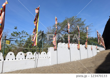 ランギリ・ダンブッラの石窟寺院【スリランカ】 ランギリ・ダンブッラの石窟寺院【スリランカ】 123470133