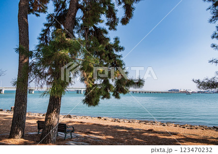 膳所城跡公園　滋賀県大津市 123470232