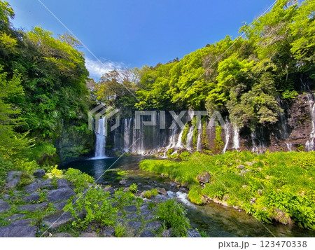 静岡県・白糸の滝 / Shiraito Falls, Shizuoka 静岡県・白糸の滝 / Shiraito Falls, Shizuoka 123470338