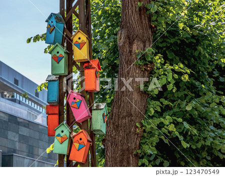 Many colorful brdhouses on a pole in the city. 123470549