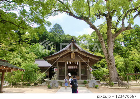 竈門神社・御本殿（福岡県・太宰府市） 123470667