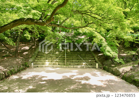 竈門神社・参道(福岡県・太宰府市) 竈門神社・参道(福岡県・太宰府市) 123470855