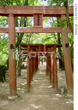 竈門神社・参道（福岡県・太宰府市） 123470857