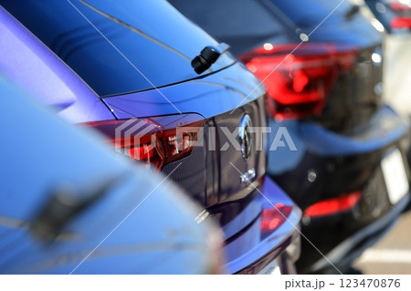 車のテールランプ（輸入車）　イメージ 123470876