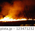 若草山の山焼き、横 123471232
