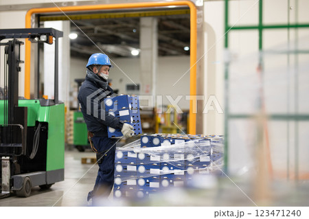 冷蔵倉庫内で作業をする男性 123471240