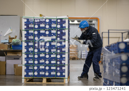 冷蔵倉庫内で作業をする男性 123471241