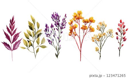 Hand-drawn watercolor autumn leaves and wildflowers. Botanical illustration with fall plants, foliage, and floral twigs 123471265