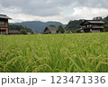 夏の白川郷の合掌造り 123471336