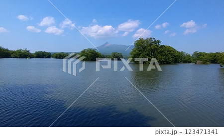 夏の大沼公園の風景 123471341