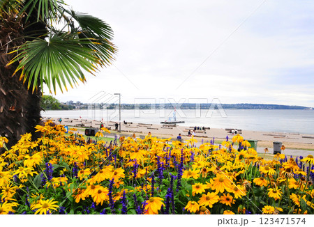 バンクーバーの賑わうイングリッシュベイと花壇 123471574