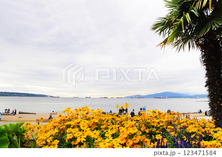 バンクーバーの賑わうイングリッシュベイと花壇 123471584